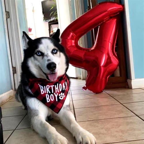 Red Number 1 Balloons, 40 Inch Large Foil Number Balloons Set 0-9 for Women, Self Inflating Digital 1 Helium Balloon for Girls Boys 1st Age Birthday Anniversary Party Decorations Photo Shoot Supplies