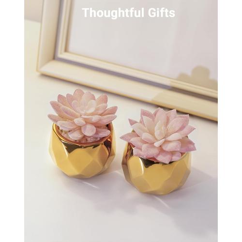 VIVERIE Mini Succulents Plants Artificial in Pots-Pink with Golden Ceramic, Christmas Small Fake Succulents Plants for Home Decor Indoor for Women, Set of 2, Gifts for Mom