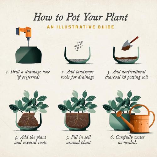 Ibiza Polyresin Indoor and Outdoor Planter with Classic Cream Finish - Durable, Weatherproof, Lightweight, Large Plant Pot for Patio, Garden, Deck, Entryway