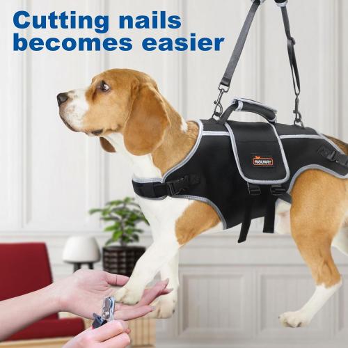 Size XL Color Black Full Body Dog Lift Harness with Handle & Adjustable Lifting Straps - Dog Carrier Sling for Joint Injuries, Arthritis, Paralysis - Up Stairs (XL)