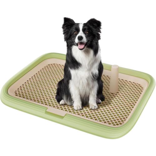 Large 23.6x17.7 Dog Potty Tray, Indoor Pet Pee Pad Holder with Mesh Floor,Bathroom Dog Litter Box, Pet Toilet (Green)