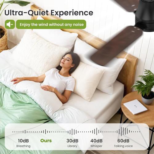 Ceiling Fans with Lights and Remote: 52 Inch Modern Black Ceiling Fan, Low Profile Flush Mount, Quiet Reversible DC Motor & 3CCT Dimmable LED for Bedroom Living Room Kitchen Indoor Outdoor