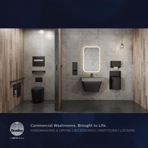 Bradley 8B1-0014200 Elvari 42 Inch Oval Safety Grab Bar | Commercial Restroom, ADA Compliant, 250 lb Load Capacity, Flangeless Concealed Mounting, Stainless Steel, Satin Finish