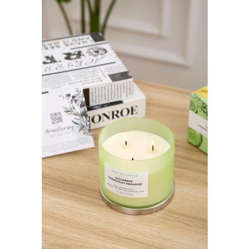 Cucumber Grapefruit Paradise 3-Wick Scented Candle | Large Soy Candle for Home 15.8 oz | Fresh Fruity Citrus Summer Aromatherapy Candle, Long Lasting Stress Relief & Relaxation Candles for Men & Women