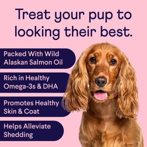 Finn Skin & Coat Salmon Oil Chews for Dogs | Omega-3 EPA & DHA | 90 Ct | Biotin, Zinc & B-Vitamins | Wild Alaskan Sourced | NASC Certified | Vet-Formulated | Healthy Skin & Coat