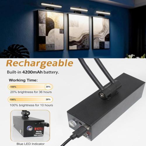 Yuichoy 2 Pack Picture Lights for Wall Battery Operated, 12 inch Wireless Art Lighting for Painting, 6 Colors Picture Frame Lights with Remote, Dimmable 4200mAh Gallery Light, Black