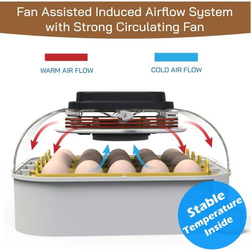 MATICOOPX 20 Egg Incubator with Humidity Display, Egg Candler, Automatic Egg Turner, for Hatching Chickens