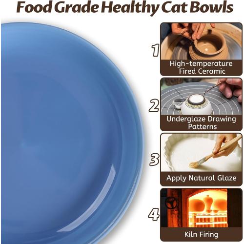 WROSWT Colorful Cat Food Bowl,Non-Slip Silicone Bottom Cat Bowls for Indoor Cats,Anti Whisker Fatigue Cats Dishes Set,Shallow Wide Kitten Plates for Food and Water,4 Pack