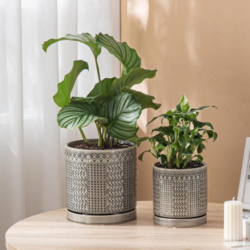 Indoor-Outdoor Ceramic Plant Pots: 8 Inch Flower Pots with Drainage Hole & Saucer - Decorative Ceramic Pots for Plants Herbs Succulents - Home Garden Patio Lawn Use