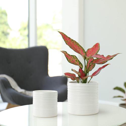 Ceramic Plant Pots, 6/8/10 Inch Ceramic Planter with Drainage Hole and Mesh Pad, White Outdoor Planter Pots with Stripes for Home Office Garden Patio, Set of 3