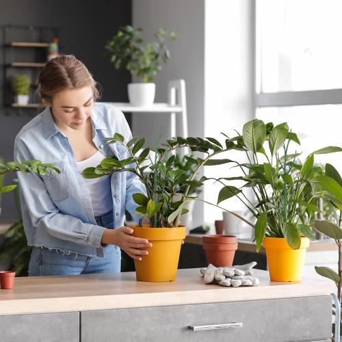 Honeydak 18 Pack Monstera Plant Support Plant Support Stakes for Indoor Plants Stackable Monstera Climbing Sticks with Orchid Clips Twist Ties for Potted Tomato Pothos Philodendron