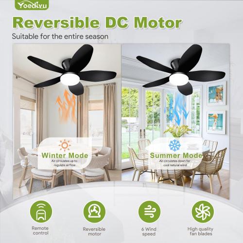 Ceiling Fans with Lights - 35 Inch Small Low Profile Ceiling Fan and Remote,Flush Mount Ceiling Fan with 5 Reversible Blades 6 Wind Speeds, Black Modern Ceiling Fans for Bedroom Kitchen