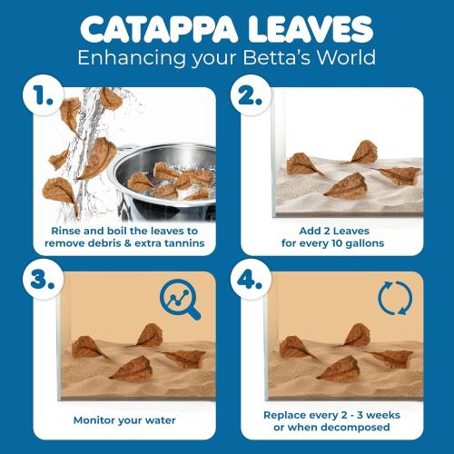 SunGrow 50 pcs Catappa Indian Almond Leaves for Betta Fish Tank Aquarium, 2” Water Conditioner Leaves, Leaf Also Suitable for Shrimp, Goldfish, Guppy and Frogs