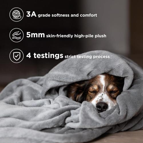 Bedsure Fleece Throw Blanket for Couch Grey - Lightweight Plush Fuzzy Cozy Soft Blankets and Throws for Sofa, 50x60 inches