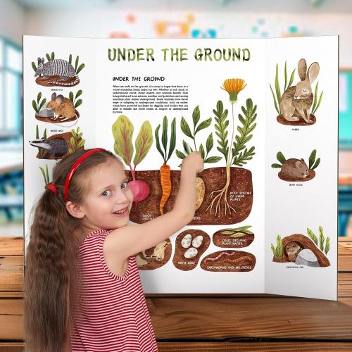 AKONEGE 2 Pack 36 x 48 Trifold Poster Board for Presentation, White Corrugated Cardboard Large Tri Fold Poster Board for Science Fair, Office & School Projects, Photo Displays, Exhibitions Event