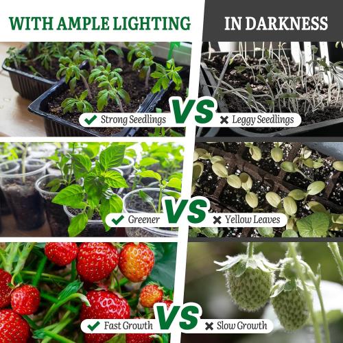 SOLIGT Grow Lights for Seed Starting, 2FT LED Full Spectrum Seedling Grow Lights with 4 Brightness & 8/12/18H On Timer, Adjustable Height Stand for Indoor Plants, Seedlings, Herbs & Vegetables