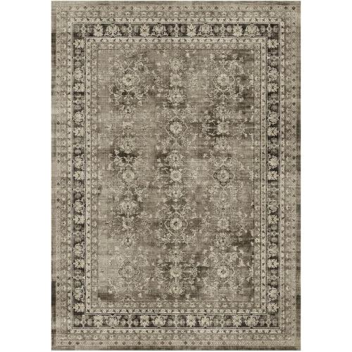Area Rugs for Living Room, Machine Washable Non Slip Rug, Soft Low Pile Carpet for Bedroom Dining Home Office, Vintage Brown Distressed Floral Floor Mat