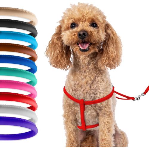 CollarDirect Rolled Leather Dog Harness Small Puppy Step-in Leash Set for Walking Pink Red White Blue Green Black Purple Beige Brown Yellow (Red, XS)