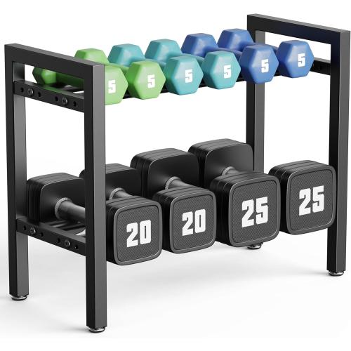 Dumbbell Rack 2-Tier Adjustable Weight Rack For Home Gym Dumbbells Kettlebell (Rack Only)