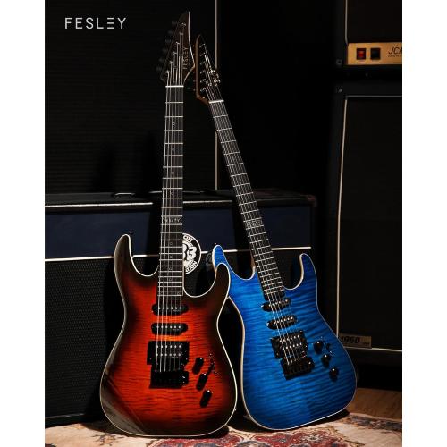 Fesley Electric Guitar, Full Size Solid Body Electric Guitar Beginner Kit, 6 String Guitar with HSS Pickups &24 Frets, Poplar Body Flame Maple Top Maple Neck With Gig Bag, Cable, Strap, FDK800, Purple