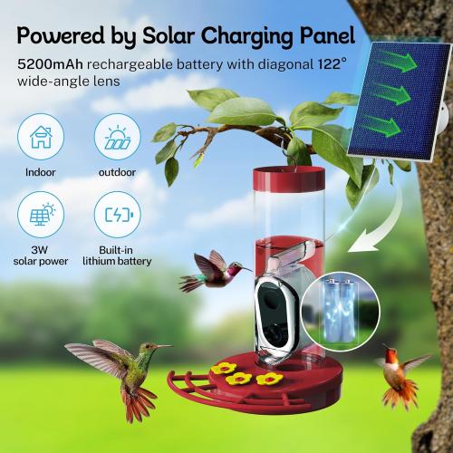 TT Nature Hummingbird Feeder with Camera Solar Powered, AI Identify Cloud Storage Instant Notification, CCPA Data Protection, Outdoor Hanging, Idea Gift for Family Friends (20 Ounces)