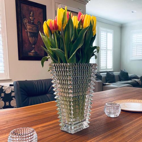 MCMCNCUIU Crystal Vase, Large Crystal Vases for Flowers, Clear Large Flower Vase, Modern Glass Vases for Living Room, Bedroom, Kitchen, Dining Table, Mantle, Wedding, 9 Inches