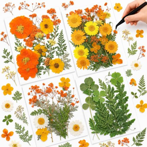 Nuanchu Real Dried Pressed Flowers for Craft Resin Molds DIY, Orange Yellow | Fits Any Project, Scrapbooking, Jewelry Candle Soap Making, Silicone Epoxy Resin Mold, Nail, DIY Art Supply, with Tweezers