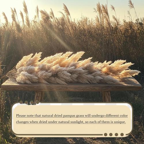 20 Stems Natural Pampas Grass Decor 40 Tall Dreid Pampas Grass for Wedding, Party, Farmhouse, Brown Dreid Flowers Boho Home Decor