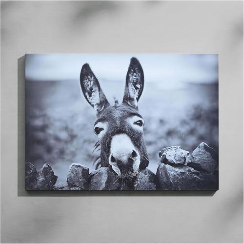 HSFFBHFBH Funny Donkey Canvas Wall Art Black White Animals Pictures Print on Canvas Farmhouse Mural Cute Donkey Framed Poster Bathroom Art Home Office Children's Room Decor Painting 16x24inch ‼️unused‼️