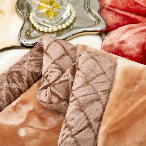 9 lbs Heavy Korean Mink Blanket,Silky Soft and Warm - Korean Style Queen Size 77 x 90, 9LB - 2 Ply Reversible Soft Warm Plush Raschel Blanket.