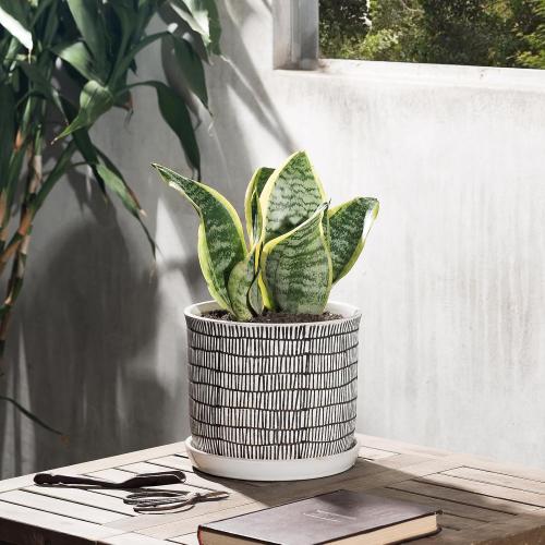 8 Inch Plant Pot: Ceramic Planter with Drainage Hole & Saucer for Indoor Outdoor Plants - Flowerpot with Bonded Tray for Home Office - Mixed Stripe Debossed