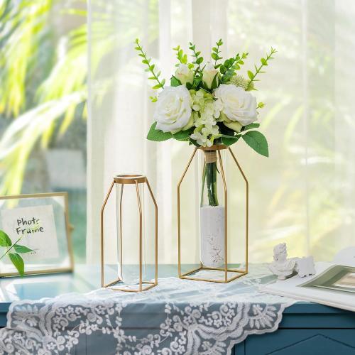 Sziqiqi Metal Flower Vase Table Decor - Gold Frame Vase with Glass Test Tubes 8/10 Modern Bud Vase for Coffee Table Living Room Abstract Geometric Art Vase for Rose Hydroponic Plant Pampas