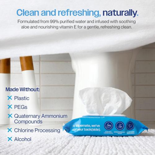 ULTRA Flushable Butt Wipes, Soothing Vitamin E & Aloe, 99% Water, Aloe Vera Scent Premium Super Soft Hygiene Wipes, Septic & Sewer Safe, 3 Premium Flip-Top Packs (180ct)