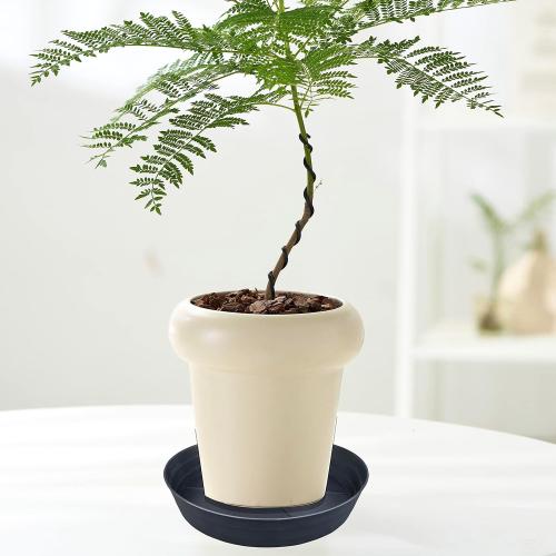 25 Inch Extra Large Plant Saucers, Extra-Deep 4.25 in Black Drip Trays for Flower Pot, Heavy Duty Drainage Tray Indoors No Holes, 2 Pack Plastic Planter Plate Water Catcher for Pots Base 20 21 22 in