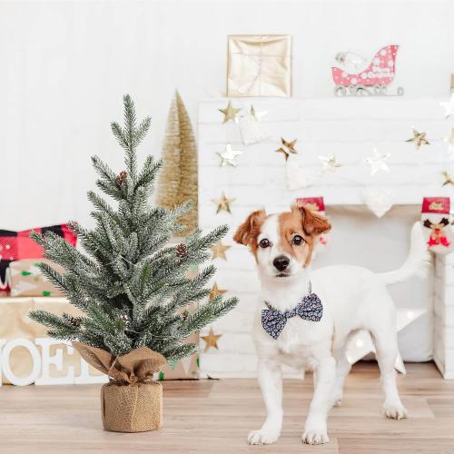 LinTimes 24 Inch Table Top Small Christmas Tree with 50 LED Lights, Prelit Mini Christmas Tree Frosted Pine Tree with Red Berries for Home Table Centerpiece Dining Room Office Desk Decorations
