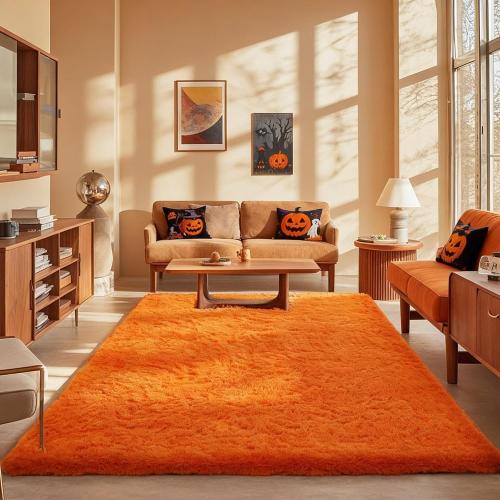 Ophanie Orange Large Rugs for Living Room Bedroom, Fluffy Fuzzy Furry Carpet, Plush Soft Shaggy Bedside Indoor Floor Area Rug for Kids Girls Boys Baby Teen Dorm Nursery Home Decor Aesthetic