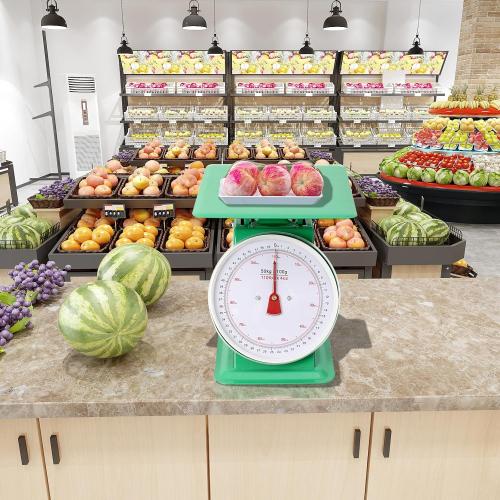 Heavy Duty Portion-Control Mechanical Kitchen and Food Scale Industrial Dial Scale with Stainless Steel Platform 110-LBS