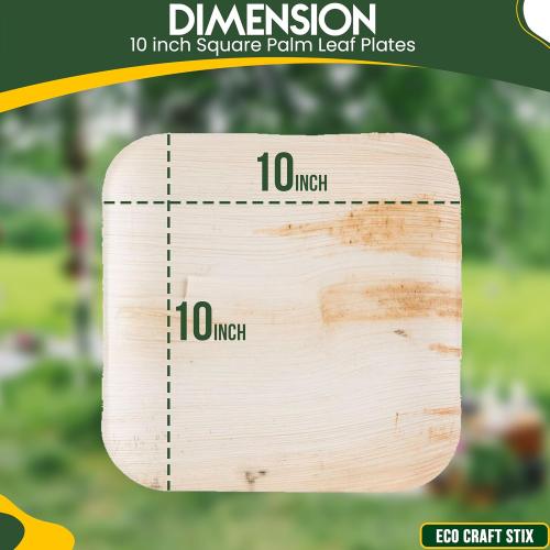 Eco Craft Stix 10 inch Square Palm Leaf Plates. Eco Friendly Dinnerware. Pack of 80  Plates. Eco-Friendly and Compostable Palm Plates. Sturdy and Durable