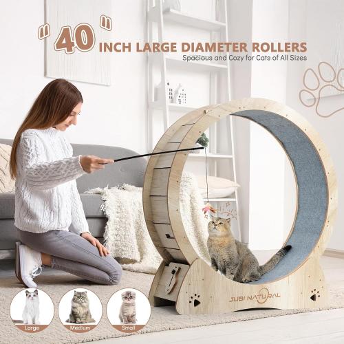 Cat Exercise Wheel, 40 Cat Running Wheel for Indoor Cats with Quiet Carpeted Runway, Cats Treadmill Wheels with Locking Mechanism, Cat's Weight Loss and Health
