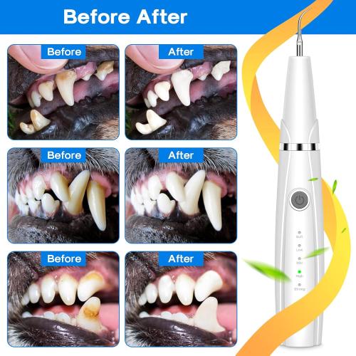 Dog Teeth Cleaning Kit, 5 Modes Plaque and Tartar Remover for Pet Teeth Care, 10 in 1 Cleaner Toothbrush to Remove Stains Calculus (White)