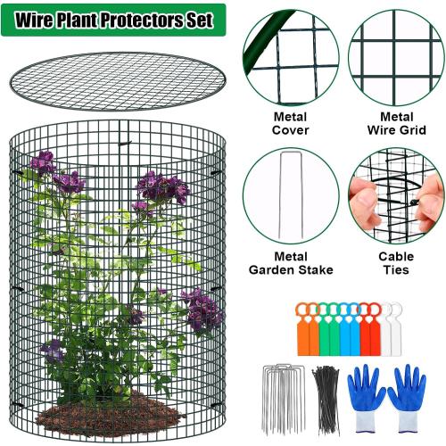 10 Pack Wire Plant Protector with Cover, 16x12 Detachable Metal Plant Protectors Mesh, Garden Plant Protectors for Shrubs Flowers Vegetables to Keep Rabbit & Chicken Animals Out