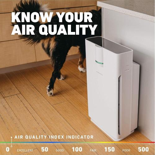 HATHASPACE HSP002 True HEPA Air Purifier | True HEPA Air Purifier for Home - Removes 99.9% of Dust, Smoke, Pet Dander & Odors, Covers Up to 1500 Sq Ft
