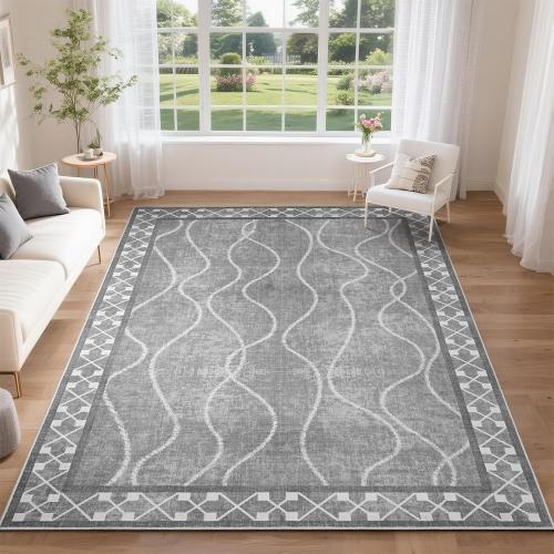 DweIke Area Rugs for Living Room, Machine Washable Bordered Rug for Bedroom, Luxury Rubber Backing (Non-Slip) Low Pile Throw Carpet for Dining Room Kitchen Home Decor, Grey