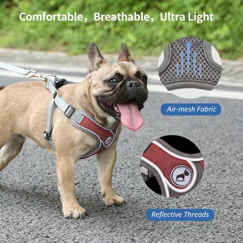 Dog Harness with Leash, Soft Adjustable Step in Reflective Strips Collars Harness Vest for Small Medium Dogs Training and Running (M, Red)
