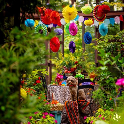 Mexican Fiesta Party Decorations - Colorful Paper Fans & Pom Poms (20 pcs)