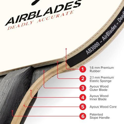 Professional Ping Pong Paddle with Hard Carry Case | Pro Table Tennis Racket | Table Tennis Paddle with Ergonomic Handle | 5 Blades of Wood with Premium Rubber and Sponge by AirBlades