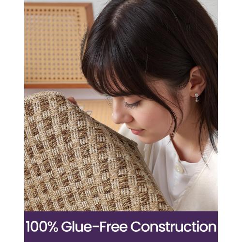 DEXI Dirt Trapper Door Mat, 31x48 Washable Doormat, Dirt Resistant and Absorbent, Easy Clean Low-Profile Floor Rugs for Entryway, Front Door, and Inside Entrance, Checkered Beige