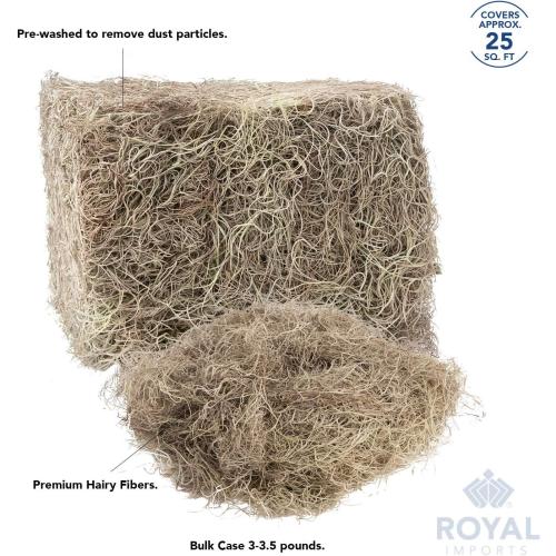 Royal Imports Preserved Natural Spanish Moss, Fresh Dried Shredded Loose Chunks, 3 LB Bulk Case