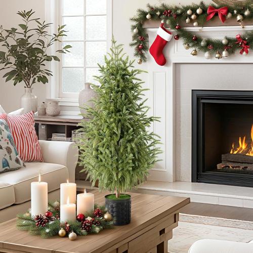 Christmas Decorations - Outdoor Christmas Tree - 2 Pack 3FT Artificial Norfolk Pine Tree - Xmas Decor for Home Indoor Outdoor Entryway Party Living Room Office Porch