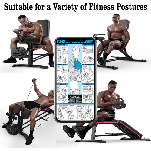 Utility Weight Bench with Leg Extension - Multi-Position Adjustable Bench for Strength Training, Dumbbell Exercise and Ab Workouts